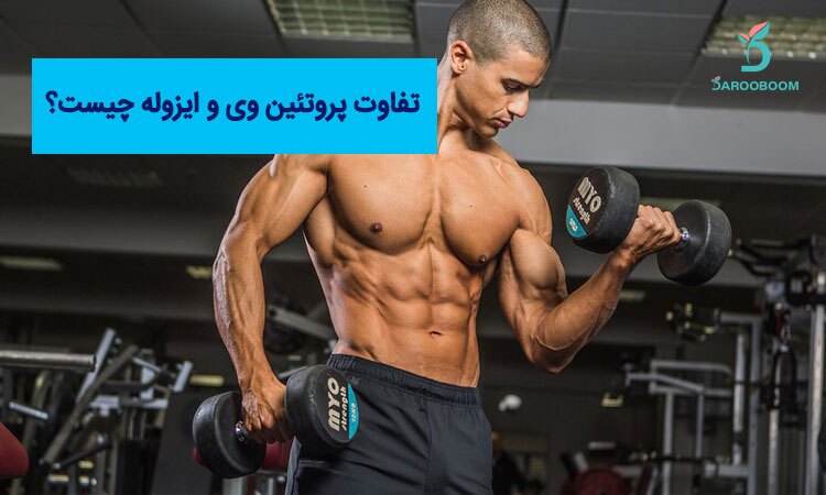 تفاوت بین پروتئین وی و ایزوله چیست؟ تفاوت بین پروتئین وی و ایزوله چیست؟