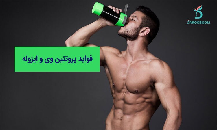 تفاوت بین پروتئین وی و ایزوله چیست؟ تفاوت بین پروتئین وی و ایزوله چیست؟