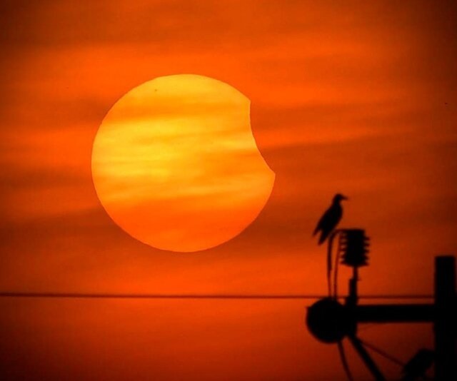 آخرین خورشید گرفتگی سال ۲۰۲۲ در سراسر جهان چگونه گذشت؟ + تصاویر آخرین خورشید گرفتگی سال ۲۰۲۲ در سراسر جهان چگونه گذشت؟ + تصاویر