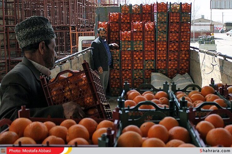 «میوه» از سبد خرید برخی خانوار‌ها حذف شد