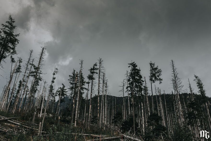 عکس‌هایی از رشته‌کوه‌ تاتراس در اسلواکی