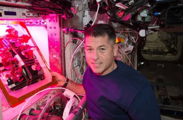 آغاز پرورش گوجه فرنگی در ایستگاه بینالمللی فضایی آغاز پرورش گوجه فرنگی در ایستگاه بینالمللی فضایی