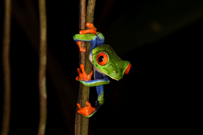 عکسهای برتر مسابقه عکاسی انجمن اکولوژیکی بریتانیا عکسهای برتر مسابقه عکاسی انجمن اکولوژیکی بریتانیا