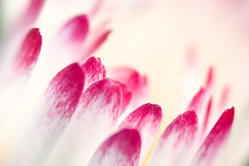 عکسهای برتر مسابقه عکاسی انجمن اکولوژیکی بریتانیا عکسهای برتر مسابقه عکاسی انجمن اکولوژیکی بریتانیا