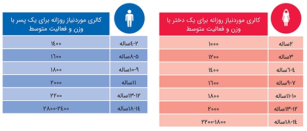 یـک بشـقاب غـذای سـالم یـک بشـقاب غـذای سـالم