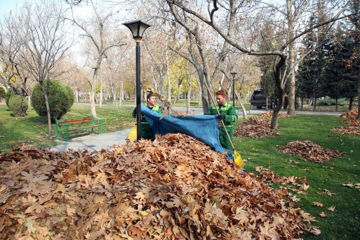 جمع آوری ۵۸۰  تن برگ پاییزی از معابر شهری مشهد