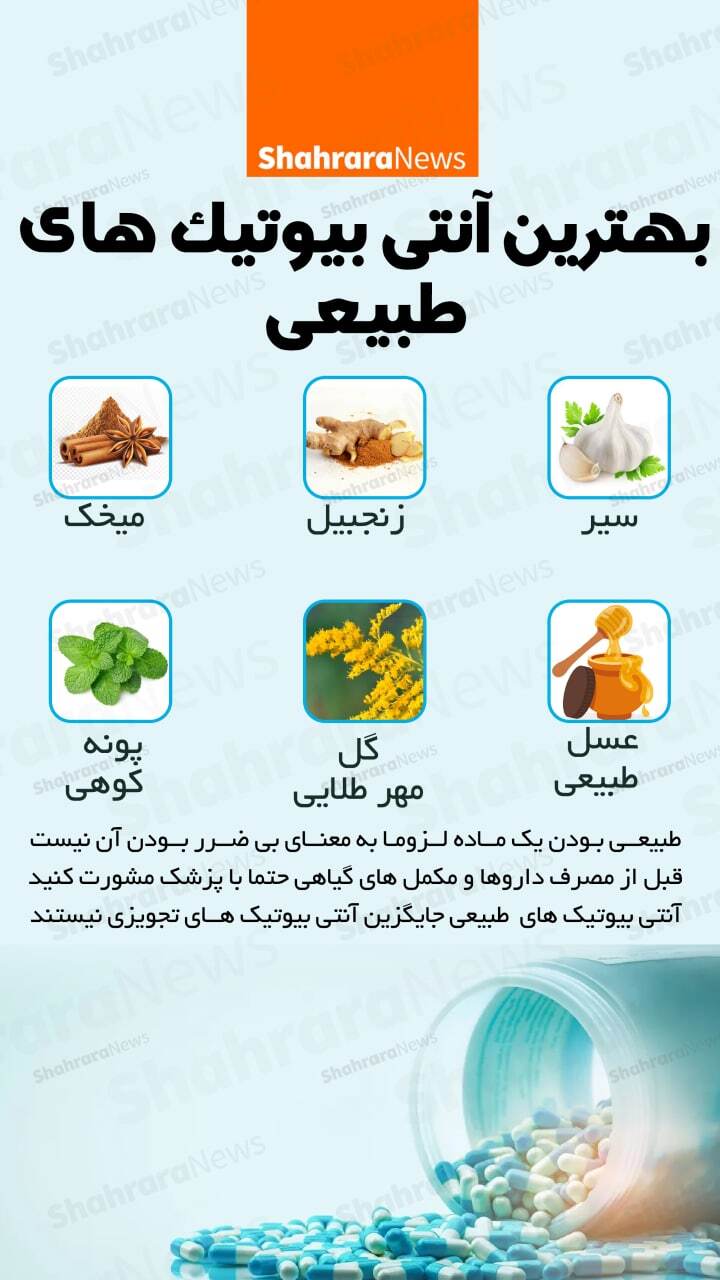 اینفوگرافی| بهترین آنتی‌بیوتیک‌های طبیعی