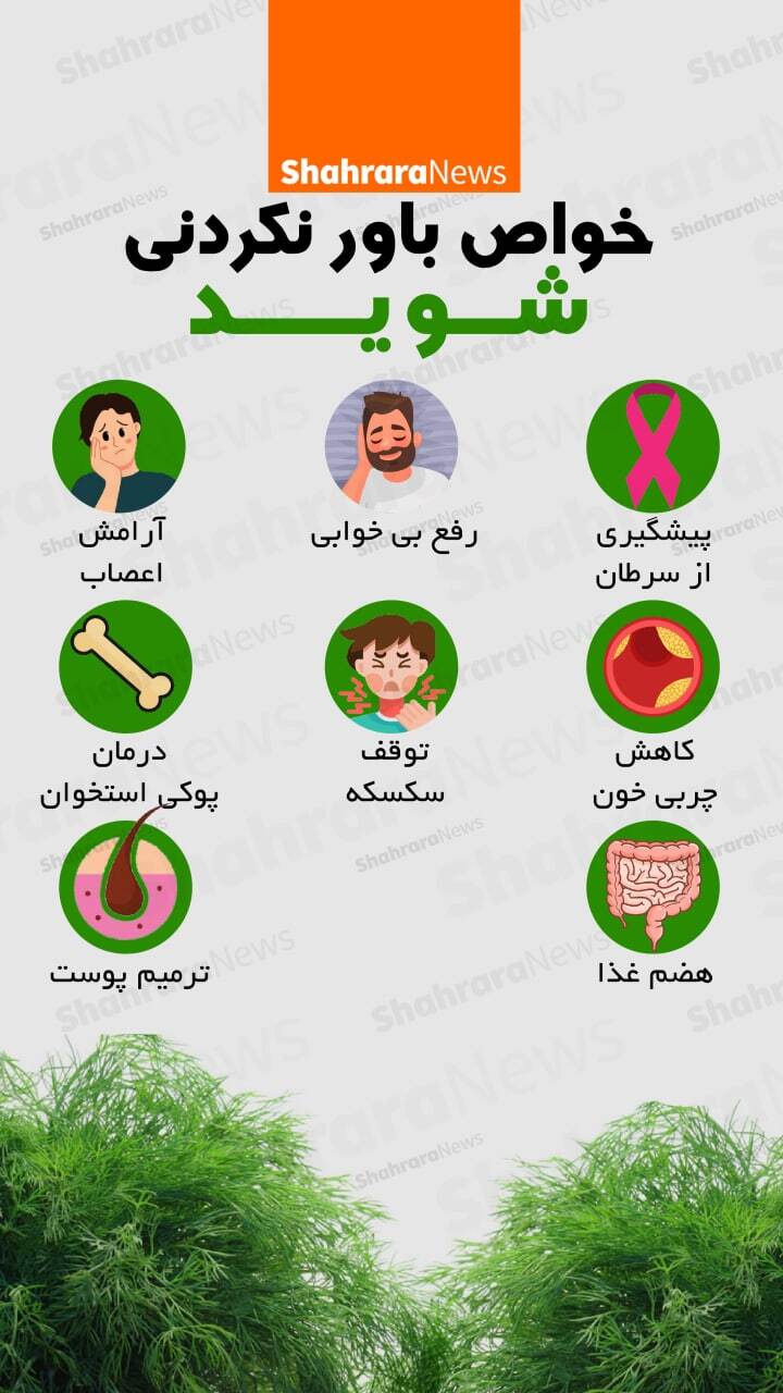 اینفوگرافی| خواص باورنکردنی شوید