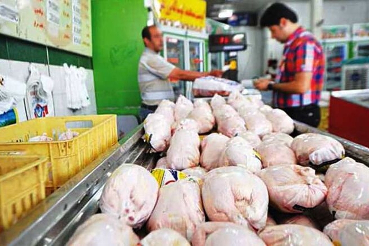 کاهش ۲ هزار تومانی قیمت مرغ در میادین عرضه (۲۶ آذر ۱۴۰۱)