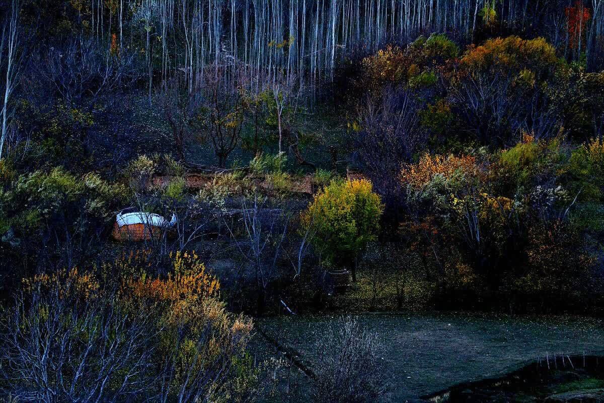 پائیز در شهرستان کوهستانات ولایت سرپل + عکس