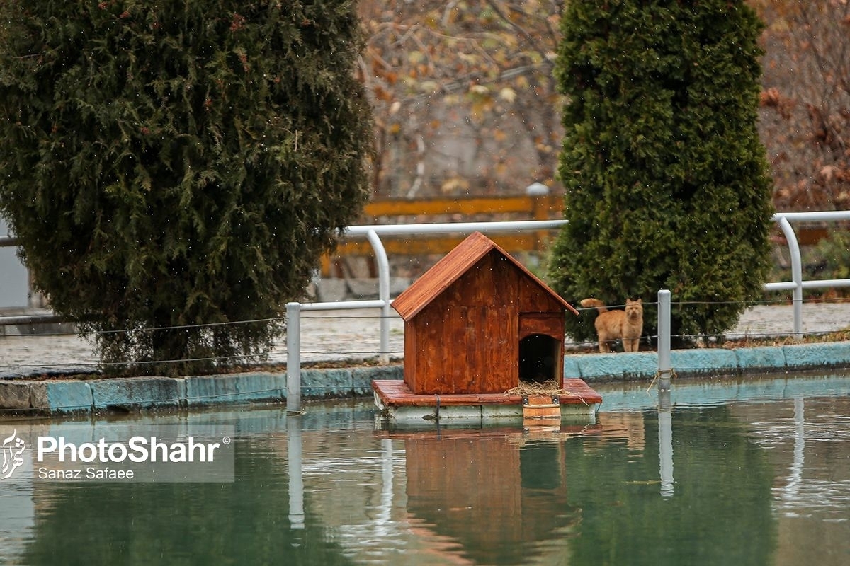 کارشناس مرکز پیش‌بینی هواشناسی خراسان رضوی گفت: امروز به تدریج از سمت غرب استان افزایش سرعت باد و ابرناکی را خواهیم داشت و از ساعات شب بارش پراکنده باران از مناطق شمالی و شمال غرب استان آغاز می‌شود. 