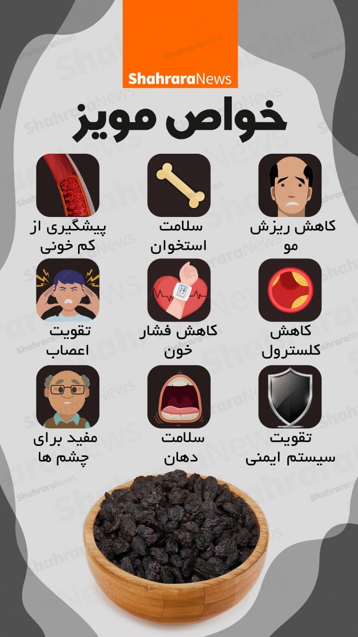 اینفوگرافی| خواص مویز