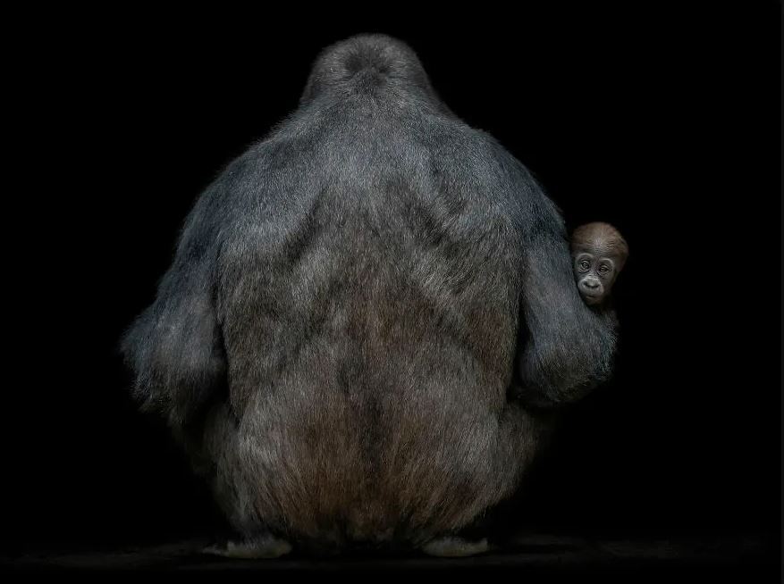 عکسهای برندگان جایزه عکاسی «چشم ذهن» ۲۰۲۳ عکسهای برندگان جایزه عکاسی «چشم ذهن» ۲۰۲۳