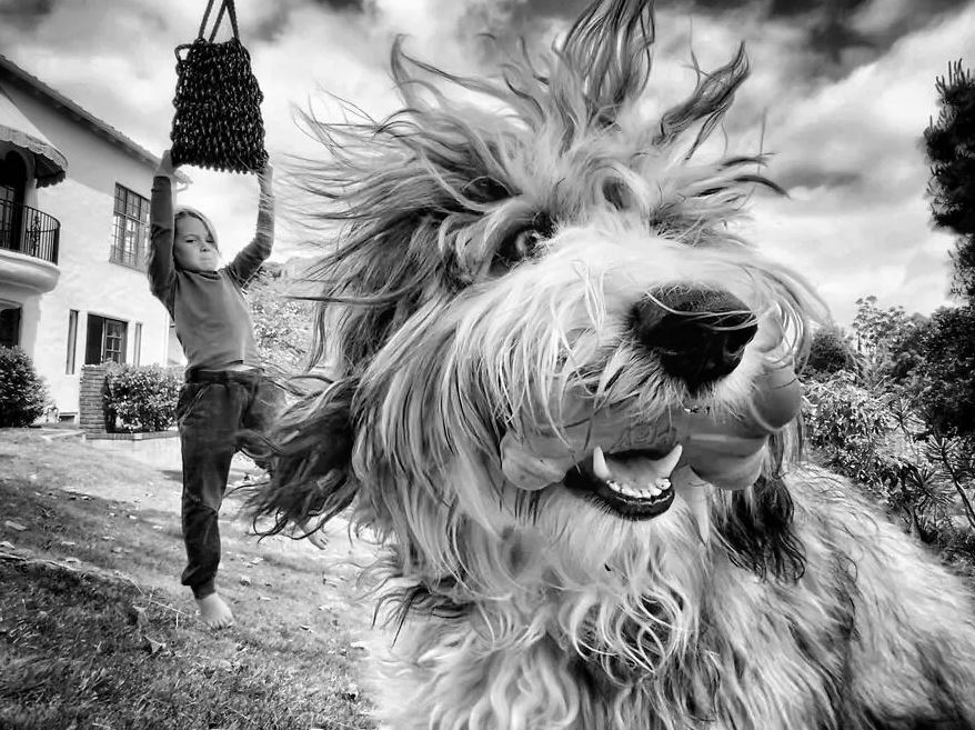 عکسهای برندگان جایزه عکاسی «چشم ذهن» ۲۰۲۳ عکسهای برندگان جایزه عکاسی «چشم ذهن» ۲۰۲۳