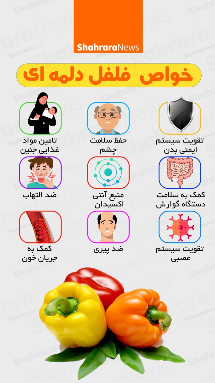 اینفوگرافی| خواص فلفل دلمه‌ای