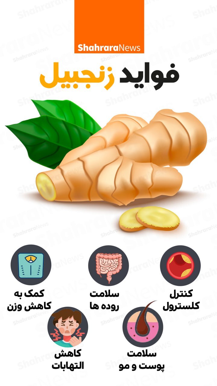 اینفوگرافی| فواید زنجبیل
