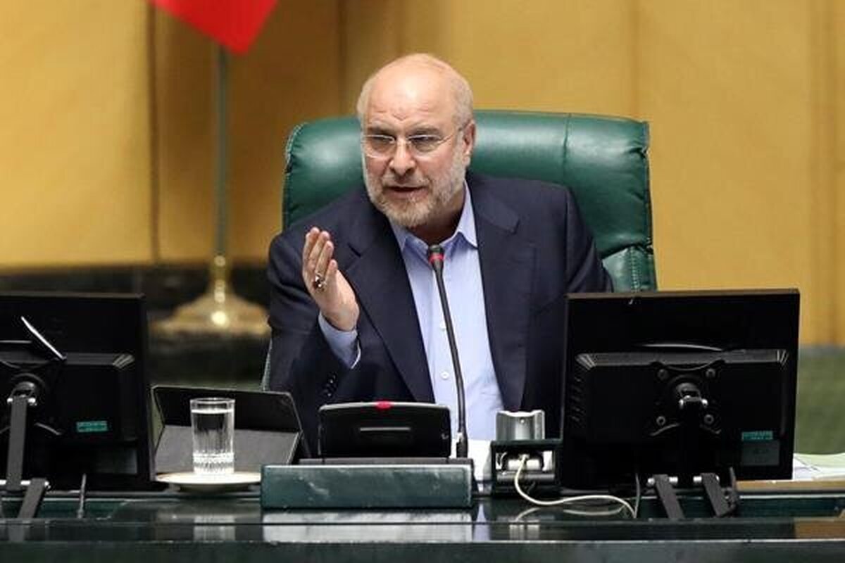 رئیس مجلس: مشارکت مردم در انتخابات اولویت جریان‌های سیاسی باشد