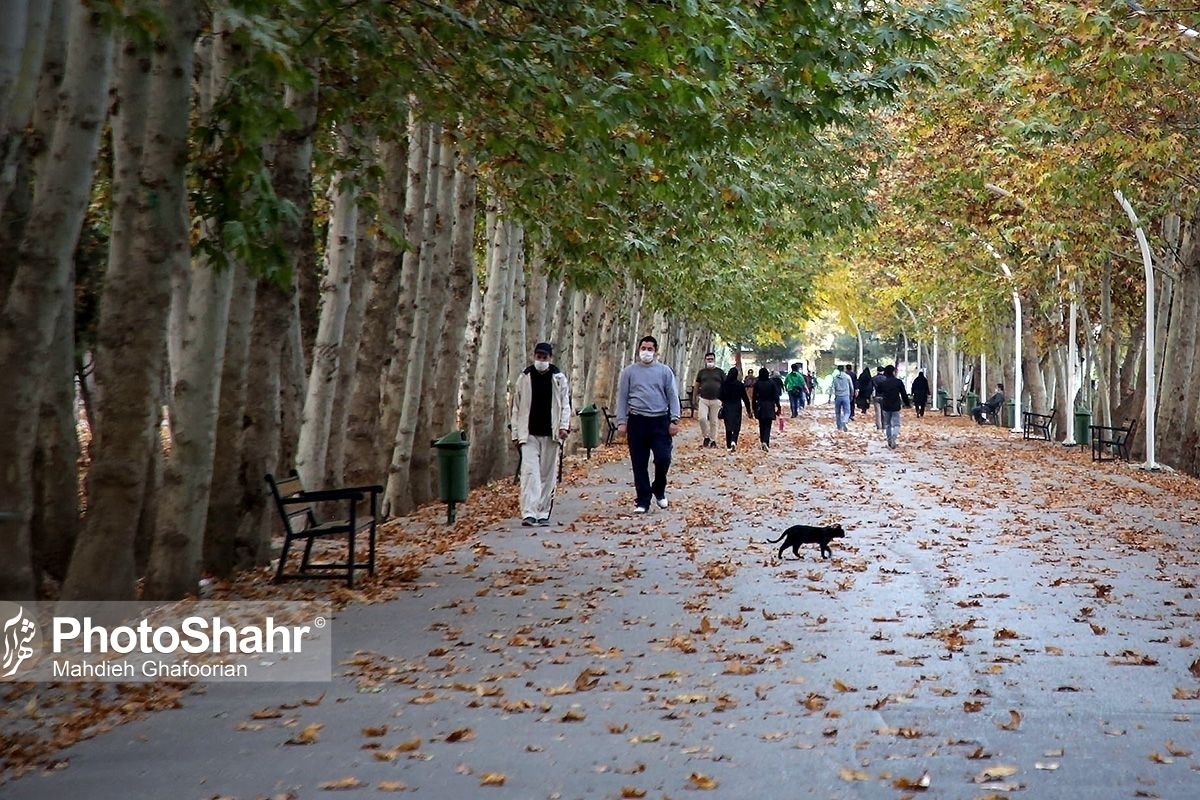 تداوم وزش باد شدید در خراسان رضوی (١٢ دی ماه ١۴٠٢)