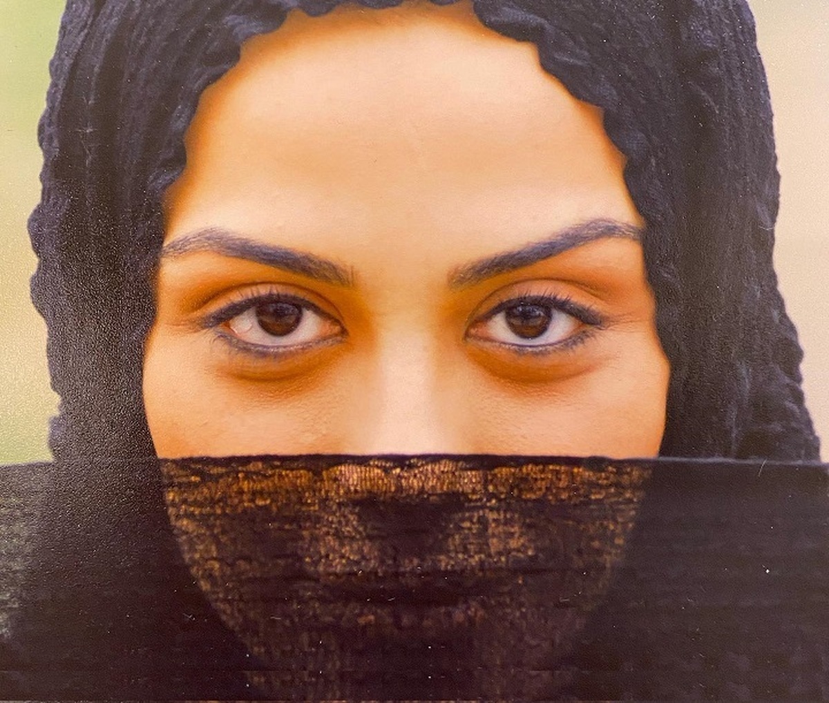 مارال فرجاد در مسیر مهاجرت! مارال فرجاد در مسیر مهاجرت!