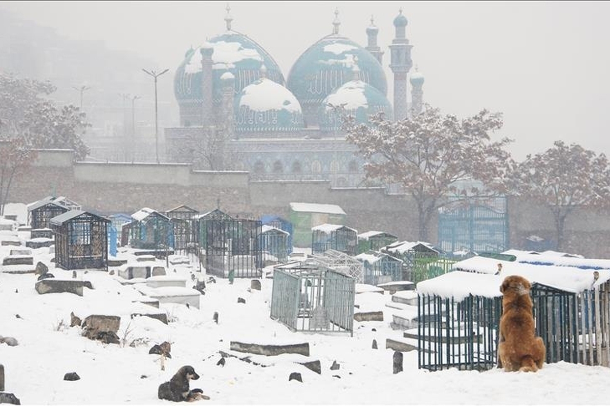 پیش‌بینی بارندگی در ۱۳ استان افغانستان (۱۷ دی ماه ۱۴۰۲)