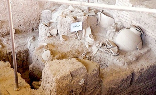 دست نگه‌دارید، «شادیاخ» در خطر است