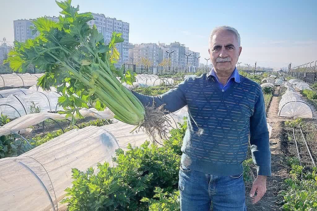 شهردار مشهد: بوستان برکت پنجشنبه افتتاح میشود شهردار مشهد: بوستان برکت پنجشنبه افتتاح میشود