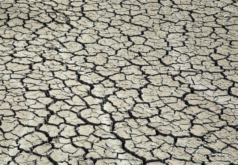 چهچهه خراسان رضوی خشک شد چهچهه خراسان رضوی خشک شد