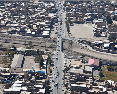 عطر گم‌شده شالیزار در مزرعه عصر تیموری