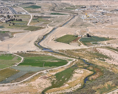 عطر گم‌شده شالیزار در مزرعه عصر تیموری