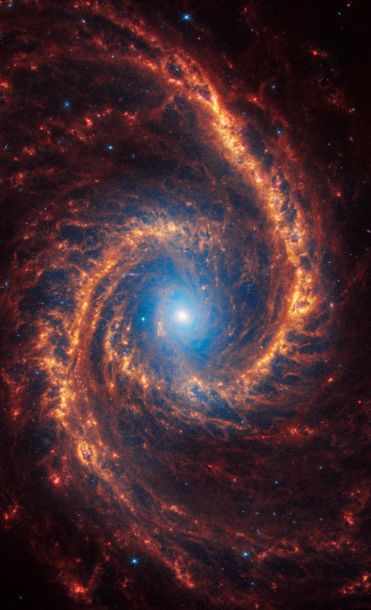 تصاویر فوقالعاده تلسکوپ جیمز وب از جزئیات ۱۹ کهکشان مارپیچی تصاویر فوقالعاده تلسکوپ جیمز وب از جزئیات ۱۹ کهکشان مارپیچی