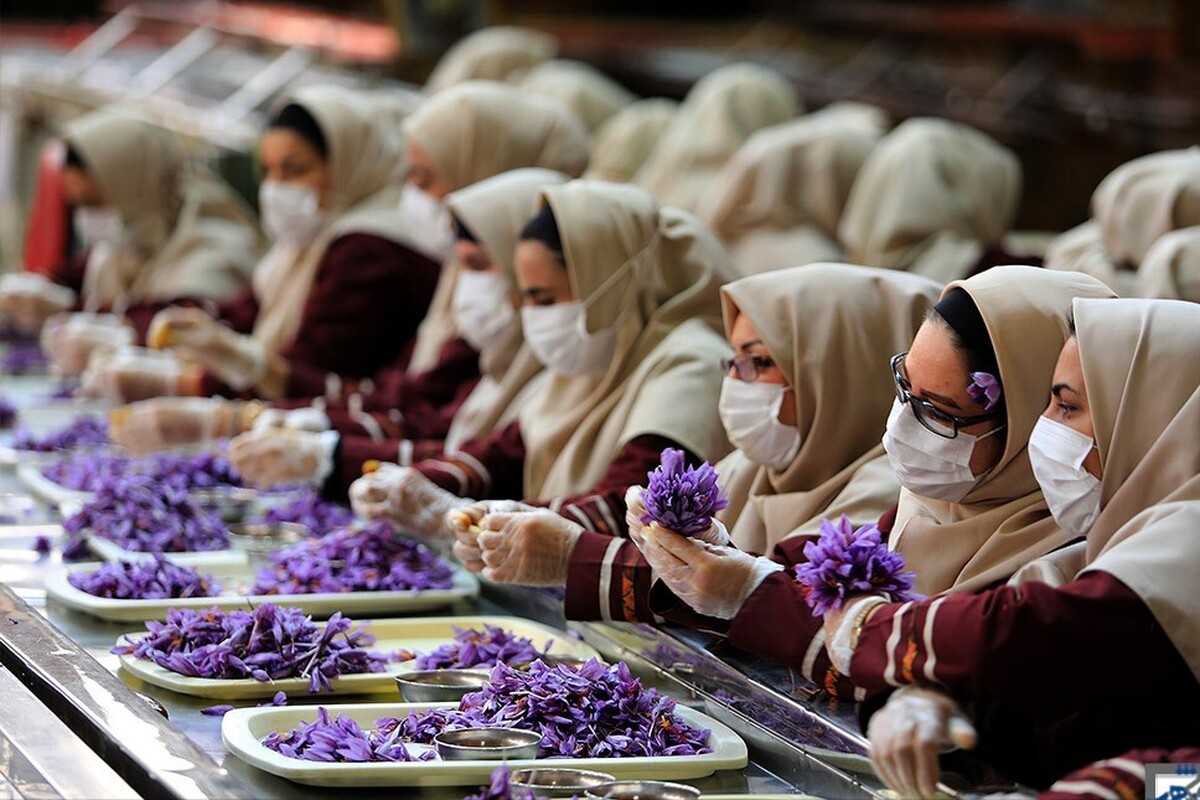 درخواست صادرکنندگان زعفران از بانک مرکزی