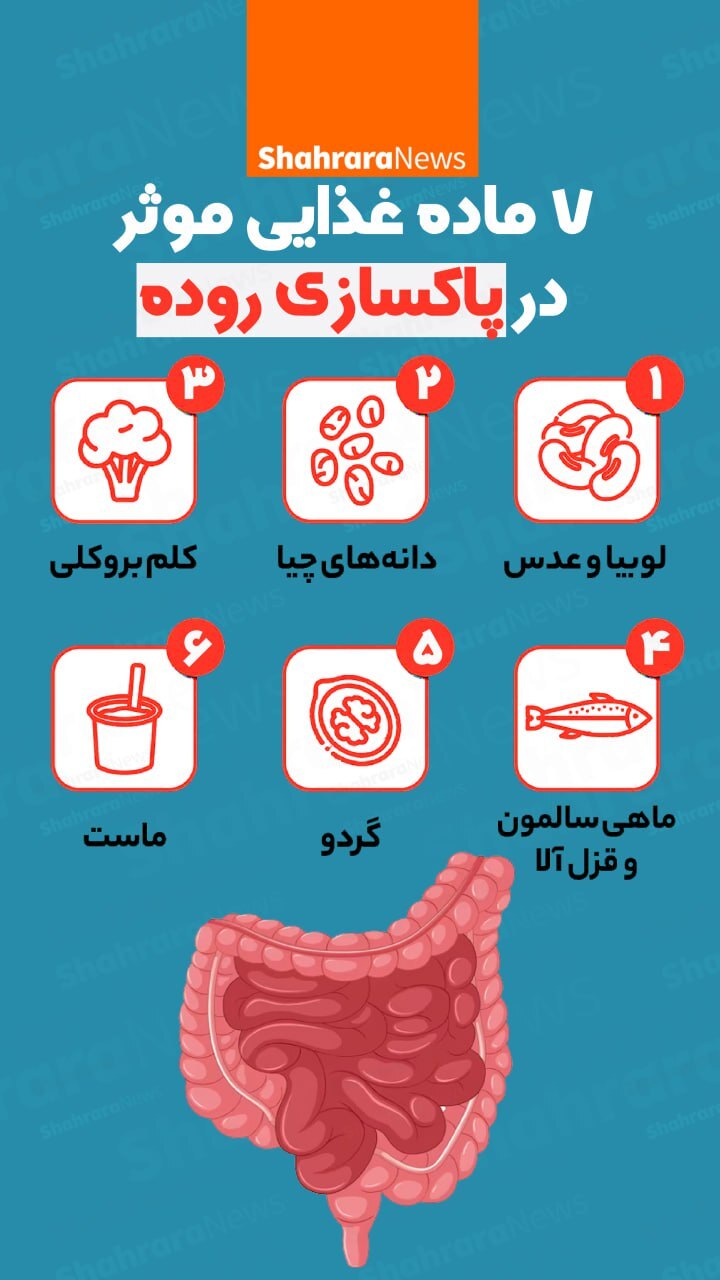 اینفوگرافی| ۷ ماده غذایی موثر در پاکسازی روده