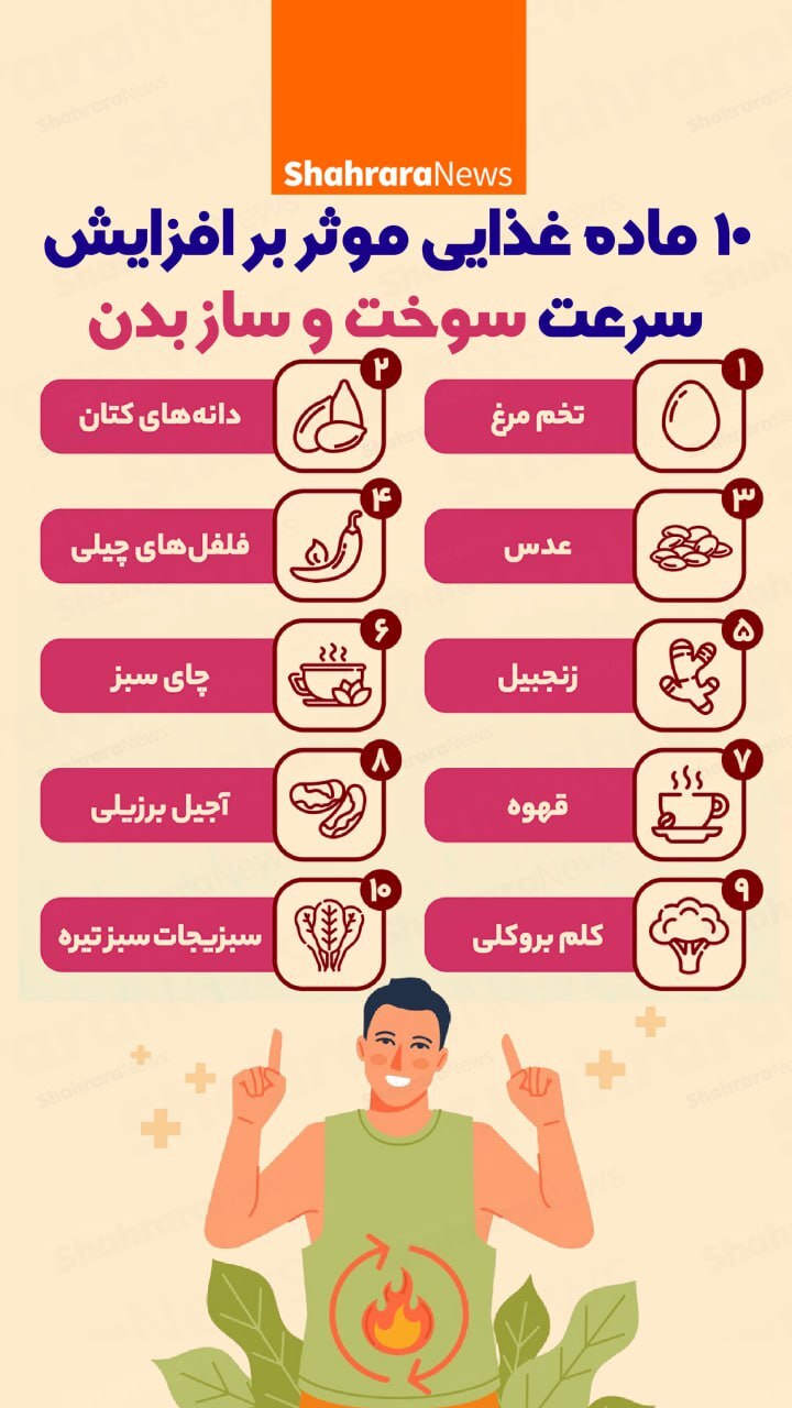 اینفوگرافی| ۱۰ ماده غذای موثر بر افزایش سرعت سوخت و ساز بدن