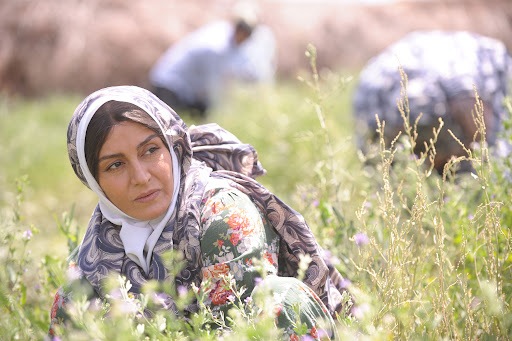 شخصیت پردازی زن در سینمای دفاع مقدس واقع گرایانه نیست شخصیت پردازی زن در سینمای دفاع مقدس واقع گرایانه نیست