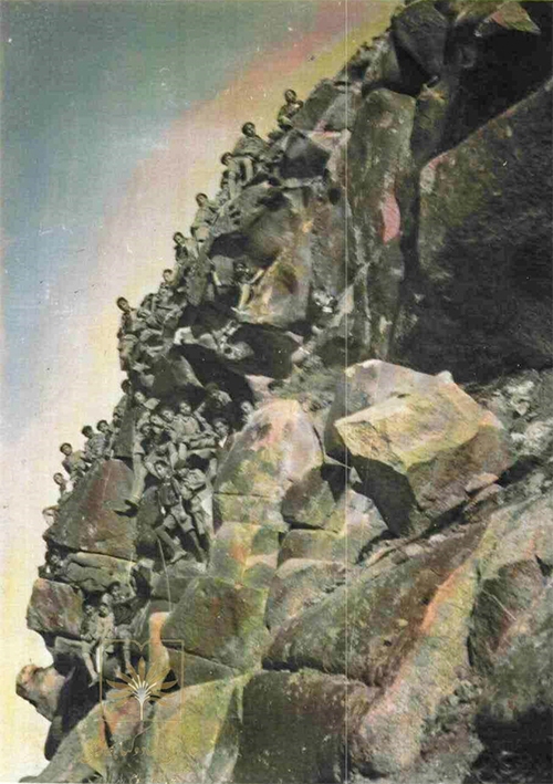 طناب‌کشی با طعم لیموناد و نان سوخاری