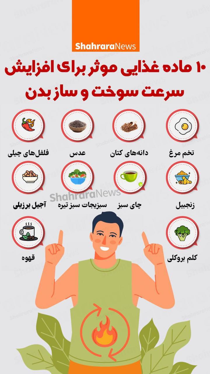 اینفوگرافی| ۱۰ ماده غذایی موثر برای افزایش سرعت سوخت و ساز بدن