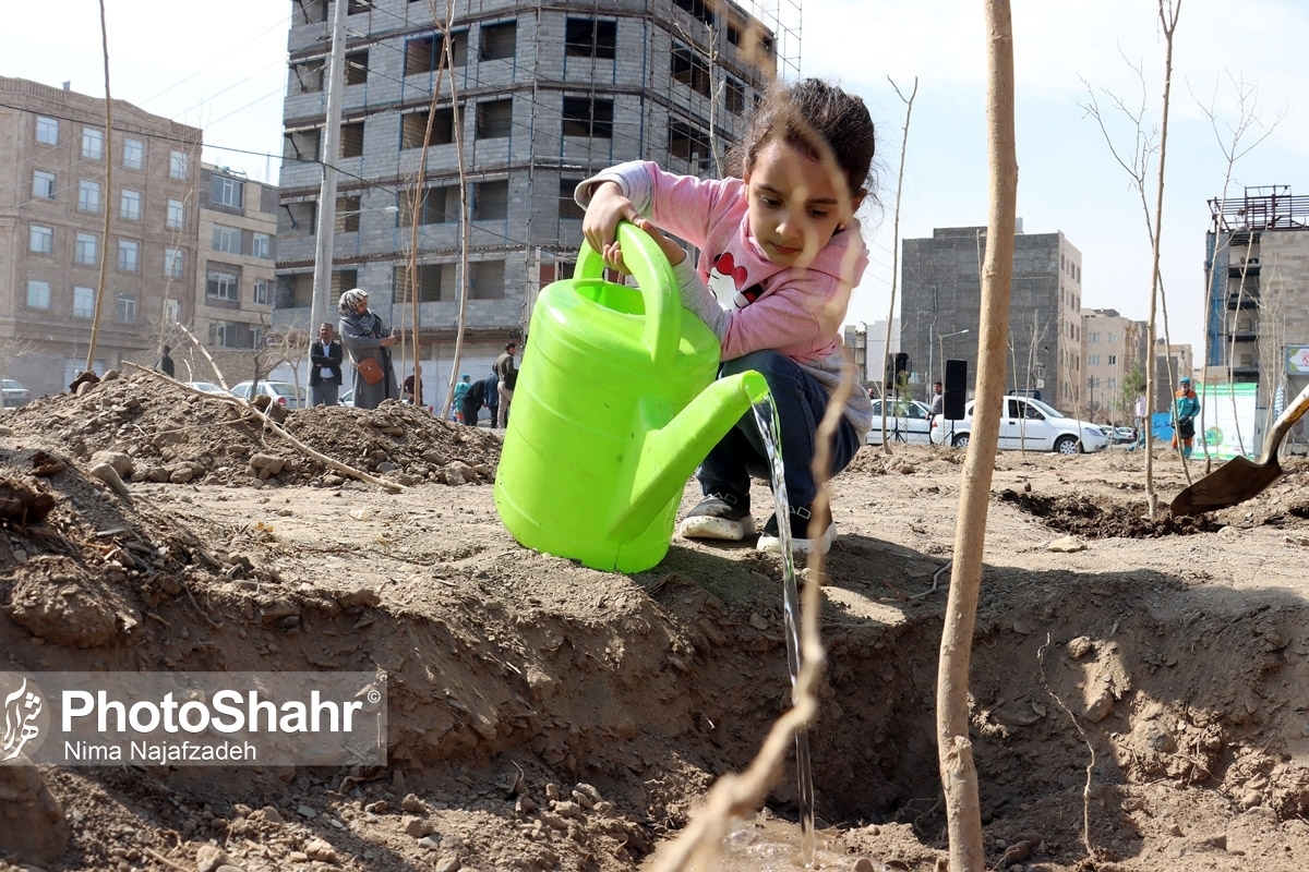 ۲۰ هزار اصله نهال بیابانی در خراسان‌رضوی کاشته می‌شود (۱۵ اسفند ۱۴۰۲)