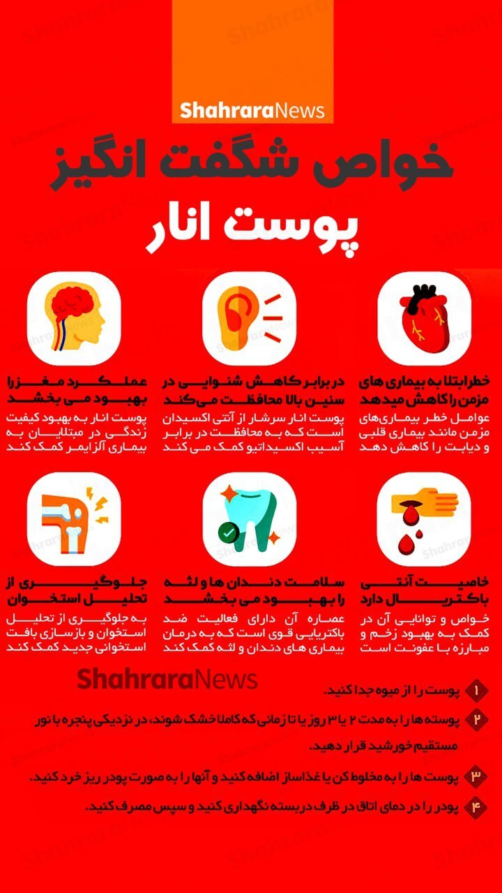 اینفوگرافی| خواص شگفت‌انگیز پوست انار