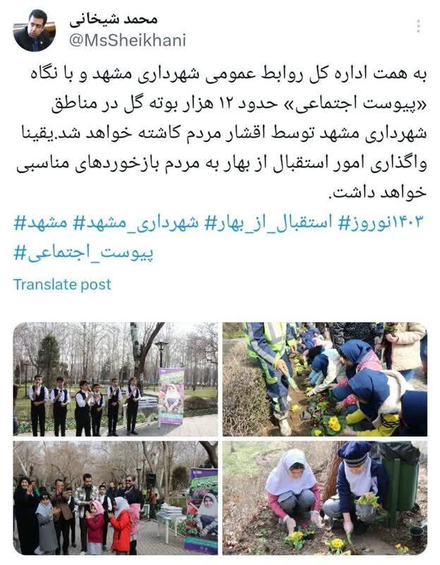 کاشت ۱۲ هزار بوته گل در مناطق شهرداری مشهد توسط مردم کاشت ۱۲ هزار بوته گل در مناطق شهرداری مشهد توسط مردم