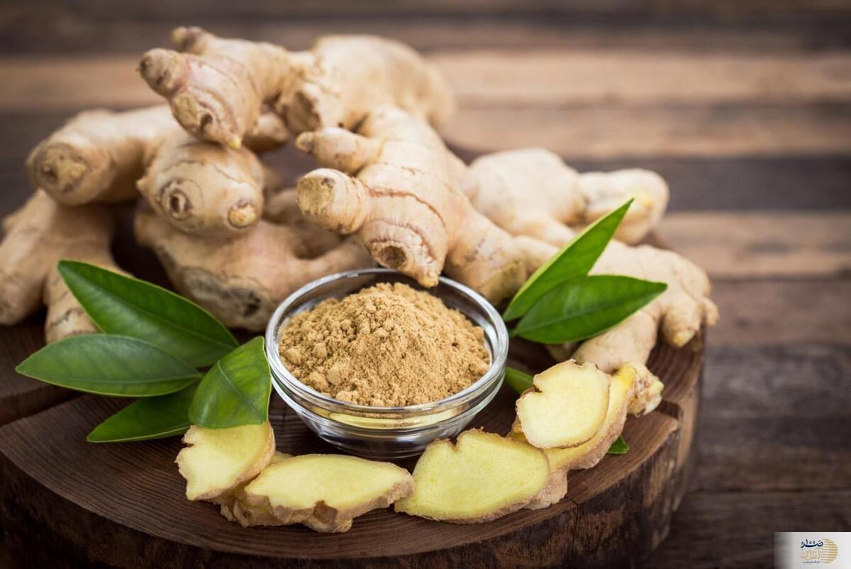 در ماه مبارک رمضان چه چیزهایی بخوریم؟ در ماه مبارک رمضان چه چیزهایی بخوریم؟