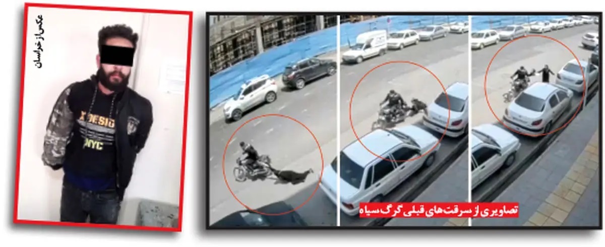 کیف قاپ خشن در مشهد به دام پلیس افتاد + عکس کیف قاپ خشن در مشهد به دام پلیس افتاد + عکس