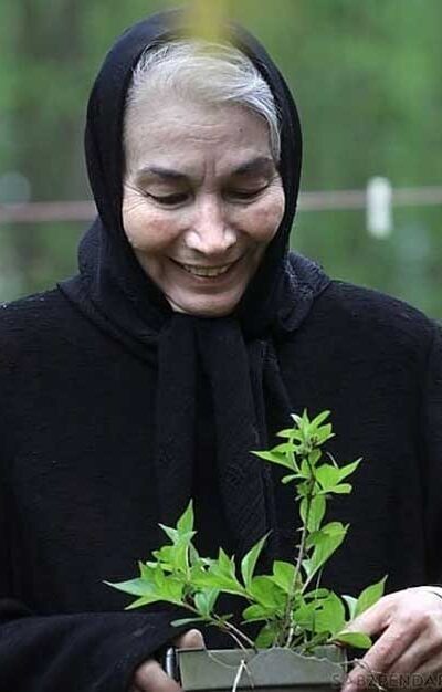 هنرمندانی که سال ۱۴۰۲ از میان ما رفتند+ عکس هنرمندانی که سال ۱۴۰۲ از میان ما رفتند+ عکس