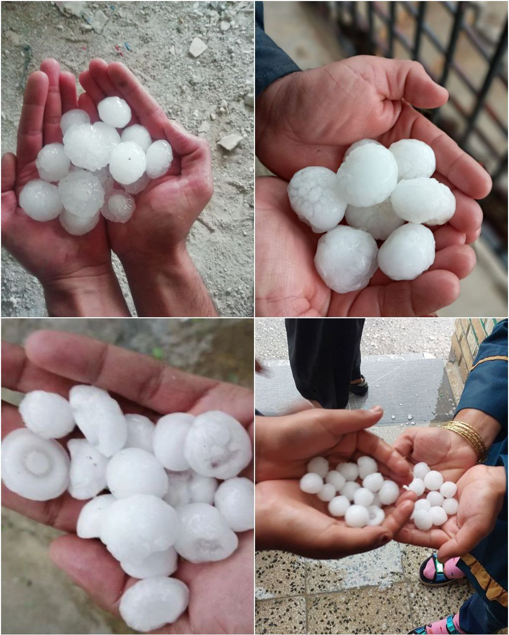 خسارت شدید بارش تگرگ در اورامانات کرمانشاه + عکس خسارت شدید بارش تگرگ در اورامانات کرمانشاه + عکس