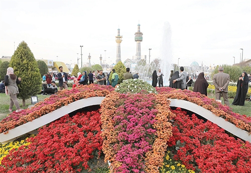 مِشَدیا به میدون مُگُفتن گل‌کاری!