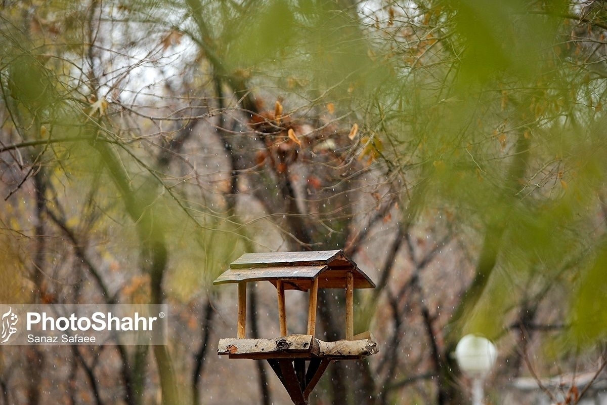 وزش باد شدید در خراسان رضوی (٢۵ خردادماه ١۴٠٢)