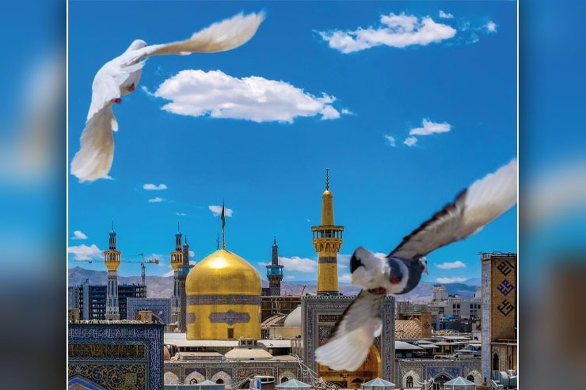 وقتی به حضور کبوترها در حرم فکر می‌کنم تصورم این است که هر کدام از آن‌ها نماینده دلی تنگ است که از قفس پر گشوده و تا این سرزمین پرواز کرده است.