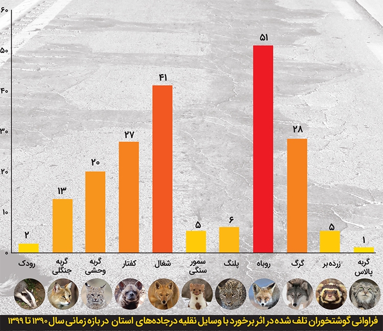 ذبح زیر ارابههای آهنی ذبح زیر ارابههای آهنی