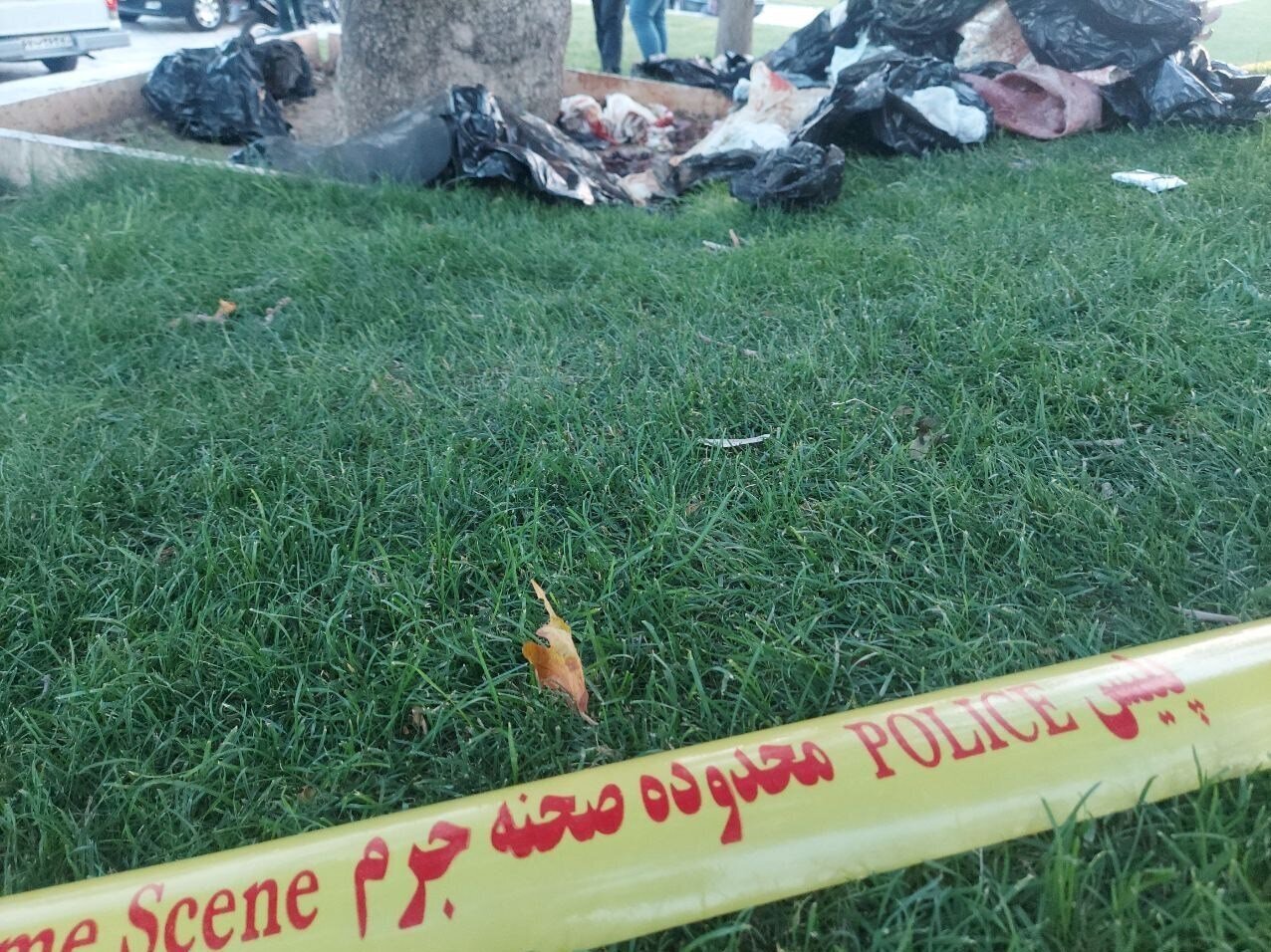 کشف جسد تکه تکه شد زن جوان در میدان آزادی تهران + عکس کشف جسد تکه تکه شد زن جوان در میدان آزادی تهران + عکس