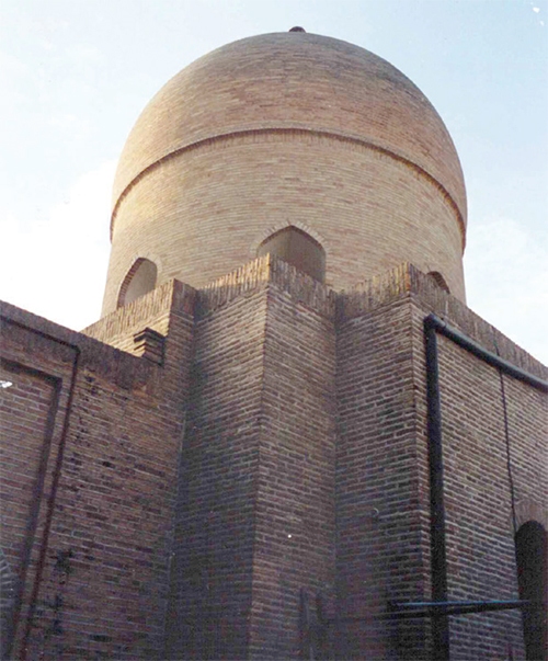 قـــریـبـان امام غریب (ع)