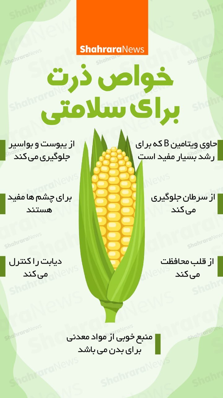 اینفوگرافی| خواص ذرت برای سلامتی